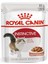 Royal Canin Instinctive Gravy Pouch 85 gr 1