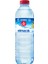 Atatürk Orman Çiftliği Su 500 ml 48'li 2