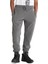 Exeter Sweatpant Erkek Günlük Pantolon TB0A2CN7U141 Gri 1
