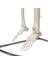 Tam Iskelet Maketi 85 cm Model 6 4