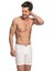Nbb 721 Erkek Arjantin Boxer 1