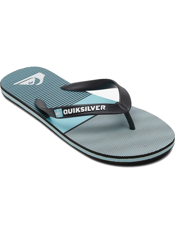 Quiksilver Molokai Tijuana Erkek Terlik AQYL101201