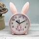  Renk Pembe