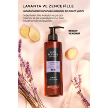 Avon Senses Essence Lavender & Ginger Lavanta ve Zencefil El Losyonu 250 Ml.