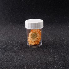 Hobizubi Kurutulmuş Papatya Oranj 10'lu