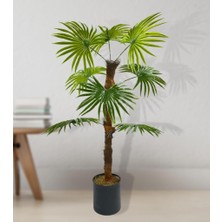 Nettenevime Yapay Ağaç Yelpaze Palmiye 8 Yaprak 85*55CM Siyah Aleminyum Saksı