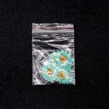 Hobizubi Kurutulmuş Papatya Turkuaz Mavi 10'lu