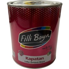 Filli Boya Kapatan 0,75 Lt Leke Örtücü