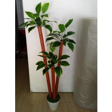 Botanik Bahçesi Yapay Yuka Ağacı Geniş Tombul Yapraklı 3 Gövdeli 1.75 mt Boy Yucca Ağaç Çiçek
