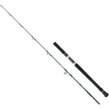 Daiwa Grandwave 1.68M 60-120GR 2p Jig Olta Kamışı
