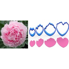 Butedo Şakayık Çiçek Yapım Seti 4lü