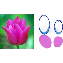 Butedo Lale Çiçek Yapım Seti 2li