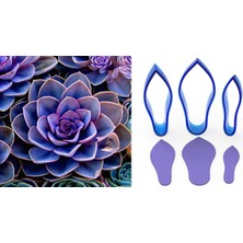 Butedo Succulent Çiçek Yapım Seti 3lü