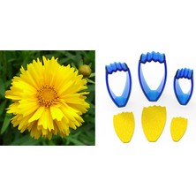 Butedo Calliopsis Çiçek Yapım Seti 3lü