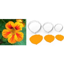 Butedo Latin Çiçeği Çiçek Yapım Kesici Set 3 Parça