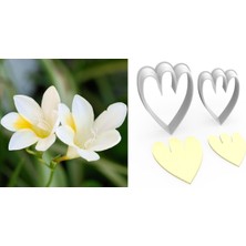 Butedo Frezya Çiçek Yapım Kesici Set 2 Parça