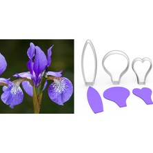 Butedo Irıs Çiçek Yapım Kesici Set 3 Parça