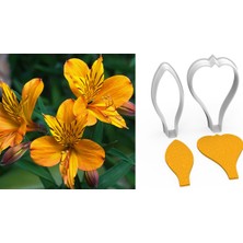 Butedo Alstroemarıa Çiçek Kesici Set 2 Parça