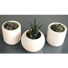 Reynes Beton Saksı Sukulent Beton Kaktus Saksısı Betondan Saksı %100 3'lü Set