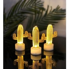 Nefertiya LED Kaktüs Lamba 12'li Paket  MH-202