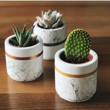 Bigcraft Mermer Desen Silindir,geometrik Beton Saksılık Kaktüs ve Sukulentlik 3'lü Set