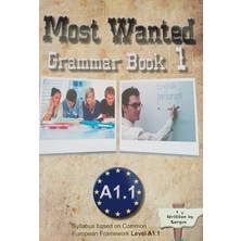 Most Wanted Grammarbook1