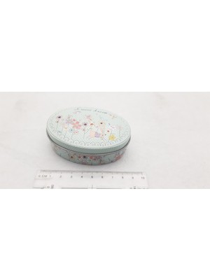 Be Beauty Pastel Resim Temalı Takı Aksesuar Saklama Metal Kutusu Model 06