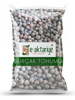 Eaktariye Burçak Tohum 100 gr