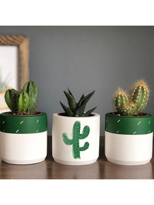 Dekozayn Home Kaktüs Desenli Beton Saksı Üçlü Set- Küçük Boy Sukulent Saksısı Çizim Kaktüs