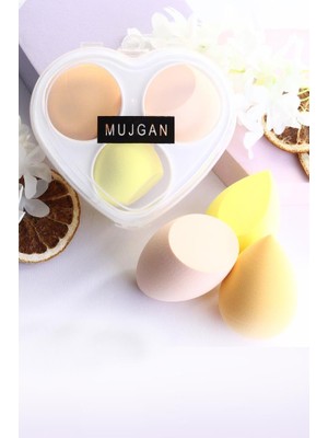 MUJGAN Kalpli 3'lü Standlı Sünger