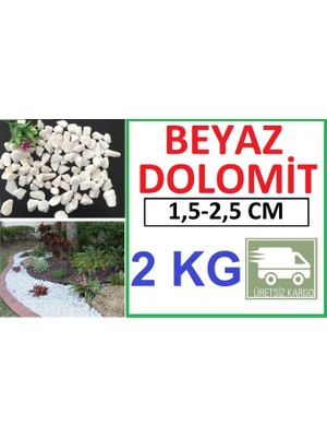 Ekodoğa Dolomit Taş 2 kg 1,5-2,5 cm Dere Taşı Çakıl Taşı Saksı Taşı Akvaryum Teraryum Taşı
