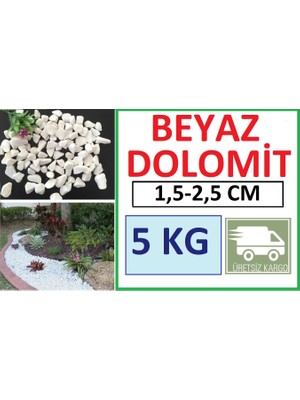 Ekodoğa Dolomit Taş 5 kg 1,5-2,5 cm Dere Taşı Çakıl Taşı Saksı Taşı Akvaryum Teraryum Taşı