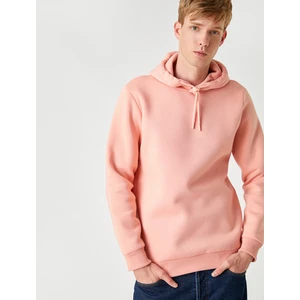 Basic Kapşonlu Sweatshirt Şardonlu