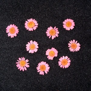 Kurutulmuş Papatya Pembe 10'lu