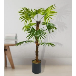 Yapay Ağaç Yelpaze Palmiye 8 Yaprak 85*55CM Siyah Aleminyum Saksı