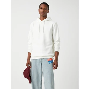 Basic Kapşonlu Sweatshirt Şardonlu