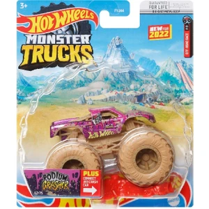 Hot Wheels 1:64 Monster Trucks Arabalar HCP86