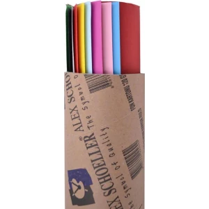 Alex Schoeller Fon Kartonu 50X70 Cm. Karışık 10'lu (Postüp Hediyeli)