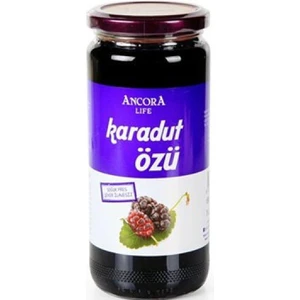 Karadut Özü Cam 640 gr