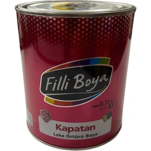 Filli Boya Kapatan 0,75 Lt Leke Örtücü