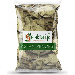 Testere Dişli Aslan Pençesi 100 gr