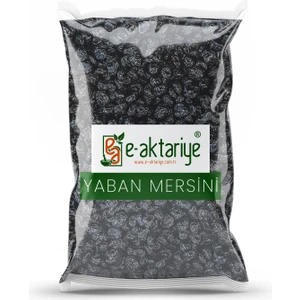 Yaban Mersini Blueberry (Kurutulmuş) 250 gr