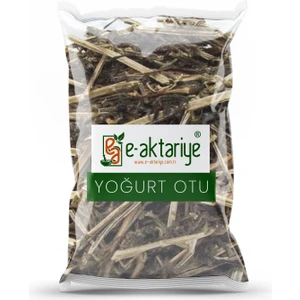 Yoğurt Otu 250 gr