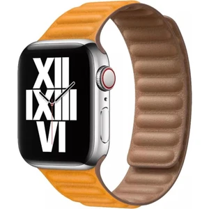 Apple Watch Uyumlu 7 45 mm Manyetik Baklalı Deri Kayış Kordon