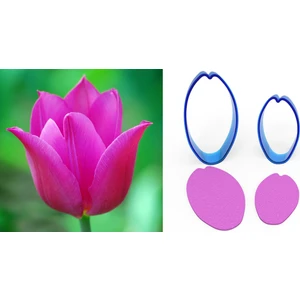 Lale Çiçek Yapım Seti 2li