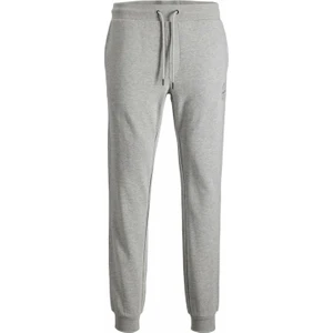Jack & Jones Jpstgordon Jjshark Sweat Pants At Noos Gri Erkek Eşofman 12165322-Light