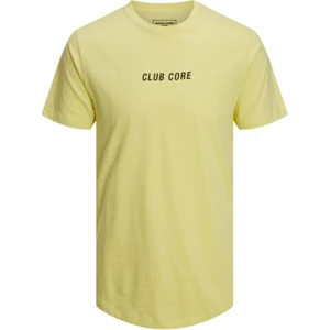 Jack & Jones Luke Erkek Tişört 12213756