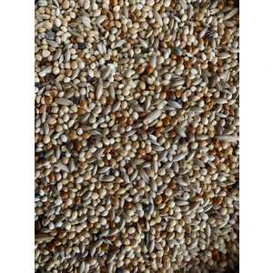 Vivid Bird Muhabbet Kuşu YEMI1000 gr