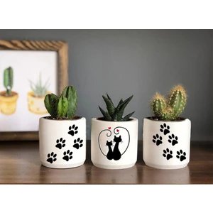 Dekozayn Home Kedi Desenli Beton Saksı Üçlü Set Küçük Boy Sukulent Saksısı Çizim Kedicik