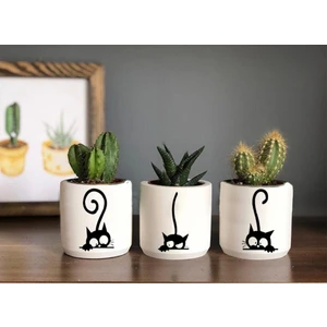 Dekozayn Home Kedi Desenli Beton Saksı Üçlü Set- Küçük Boy Sukulent Saksısı Çizim Kedicik